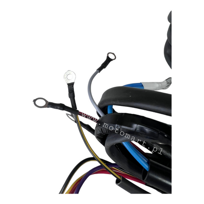 Instalacja elektryczna Dniepr MT 12V DNIEPR lampa żarówka zapłon stop